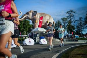 BIB: 
                            <button type="button" onclick="openModal(26541741)" class="btn btn-primary btn-sm float-right btn-popup" data-toggle="modal" data-target=".modal-high-quality">
                        <i class="fas fa-shopping-cart"></i> Add to Cart
                    </button>
                                            <button type="button" onclick="isThisMe(26541741, true)" class="btn btn-success btn-sm float-right btn-popup btn-isme hidden" data-toggle="tooltip" data-placement="bottom" title="นี่คือรูปของคุณใช่ไหม คลิกที่นี่เพื่อเอาเข้าอัลบั้ม">
                        <i class="fas fa-plus"></i> Add to album
                    </button>
                    <button type="button" onclick="isThisMe(26541741, false)" class="btn btn-warning btn-sm float-right btn-popup btn-isnotme hidden">
                        <i class="fas fa-ban"></i> Remove from album
                    </button>